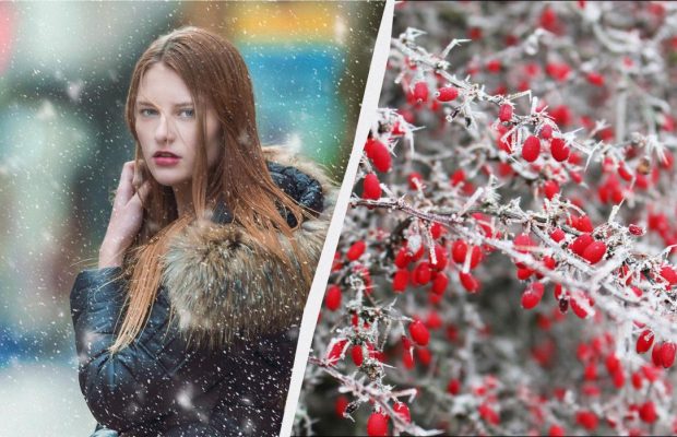 Важливе історичне свято в Україні: чому 28 січня на підлогу ставлять миску каші