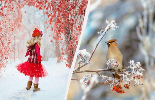 Небезпечний день 31 січня 2026: яких місць у свято сьогодні потрібно уникати