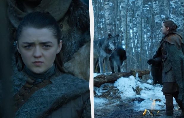 "У девочки нет имени": как сложилась жизнь звезды "Игры престолов" Мейси Уильямс (фото)