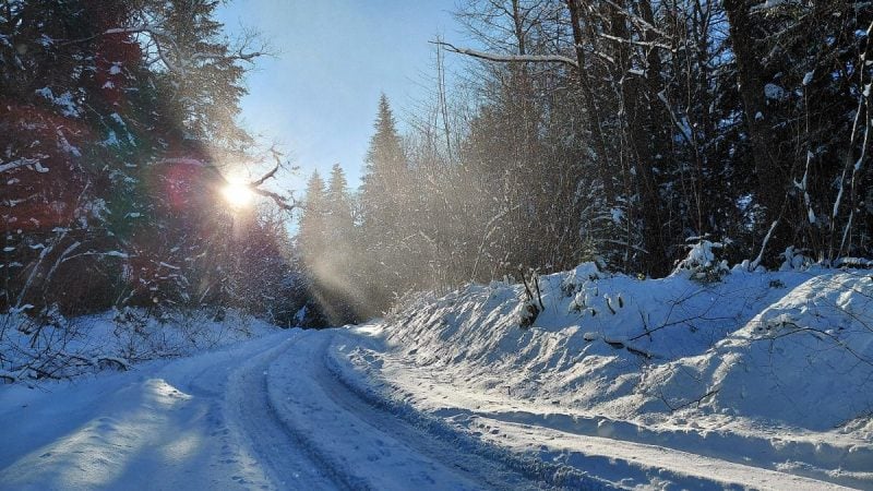 Ліси на Львівщині засипало снігом: це варто побачити (фоторепортаж)
