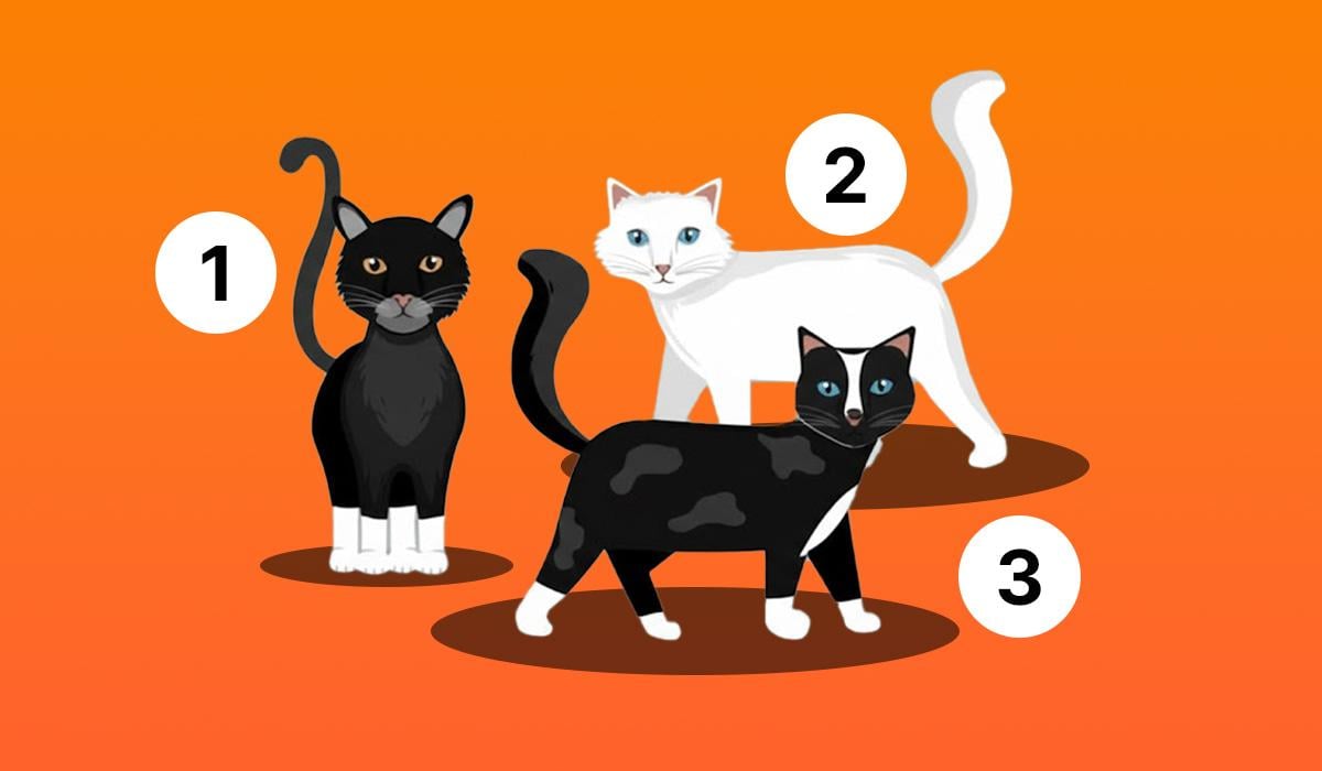  Тест на характер 