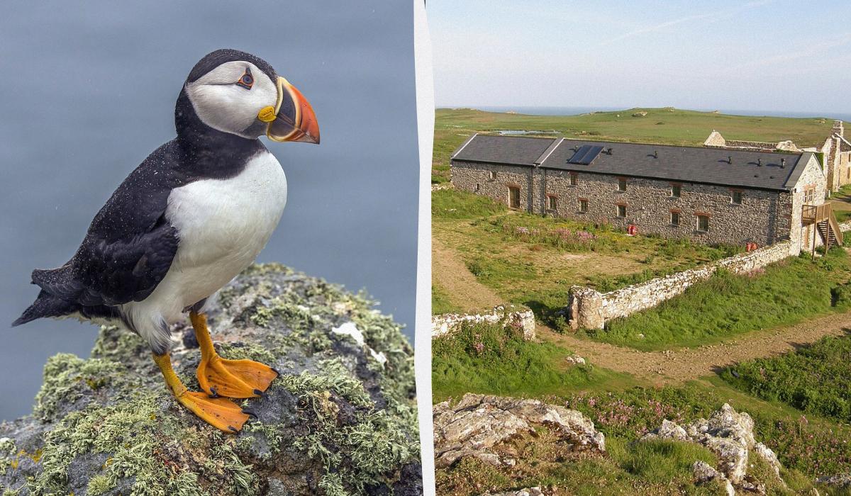 В Британії усім охочим пропонують 'роботу мрії', але є нюанс