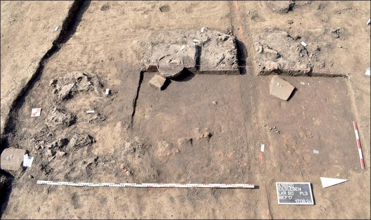 У Німеччині знайшли головний убір з оленячого черепа віком 7500 років: про що це свідчить