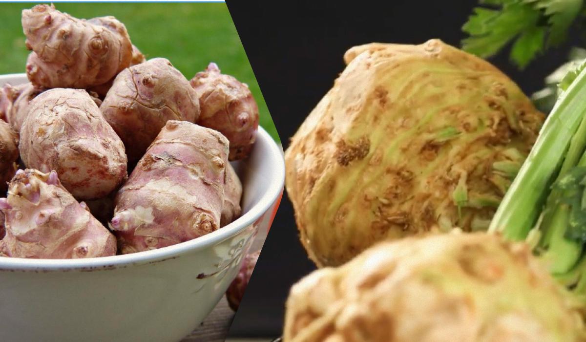 Врач назвал 5 самых полезных для кишечника овощей