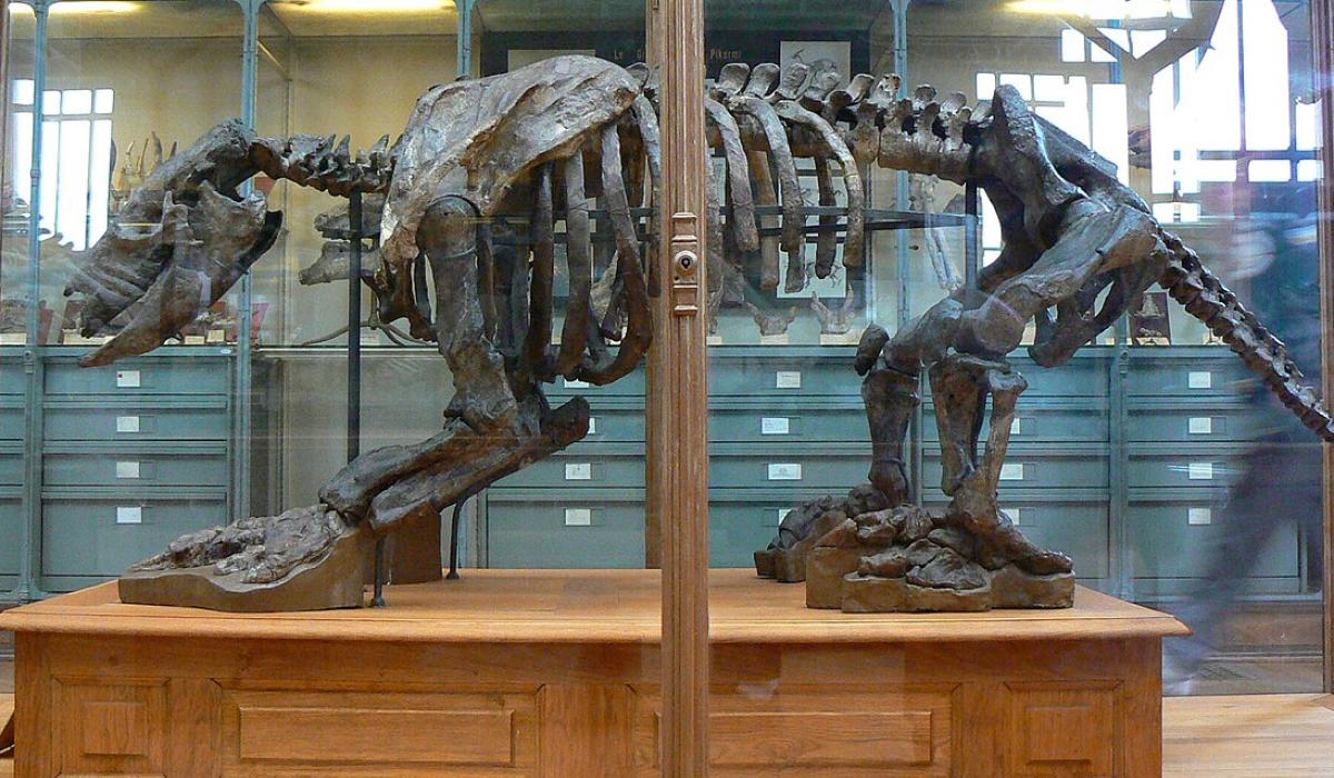 Лазер допоміг вченим розкрити рецепт розчину, яким Дарвін 'запечатав' свою колекцію тварин