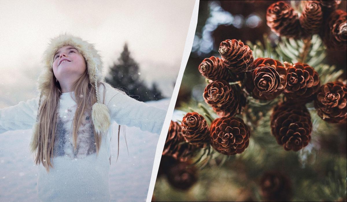 який сьогодні