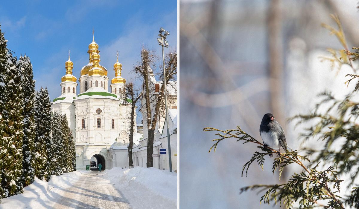 Яке сьогодні церковне свято 11 лютого 2026 року