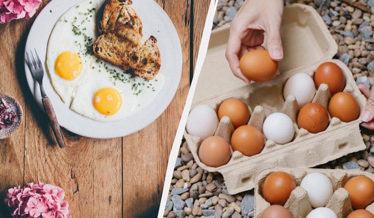 как жарить яичницу