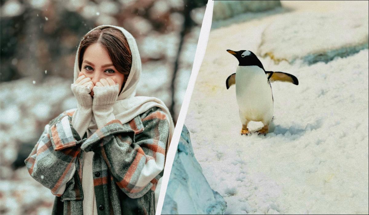 яке сьогодні свято яке сьогодні свято