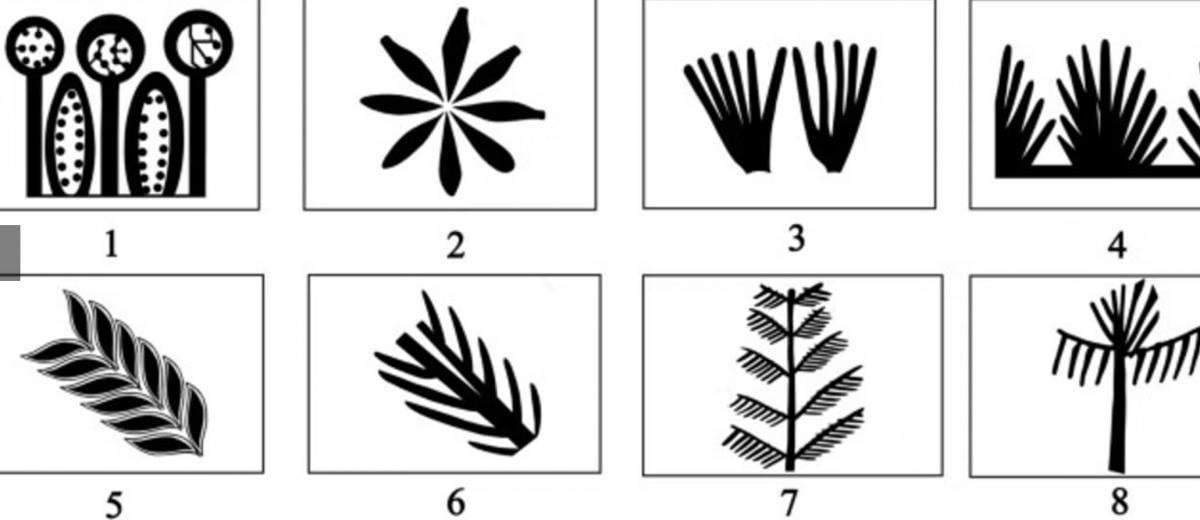 Стародавні месопотамці розуміли математику ще до винаходу чисел: як їм це вдавалося Стародавні месопотамці розуміли математику ще до винаходу чисел: як їм це вдавалося