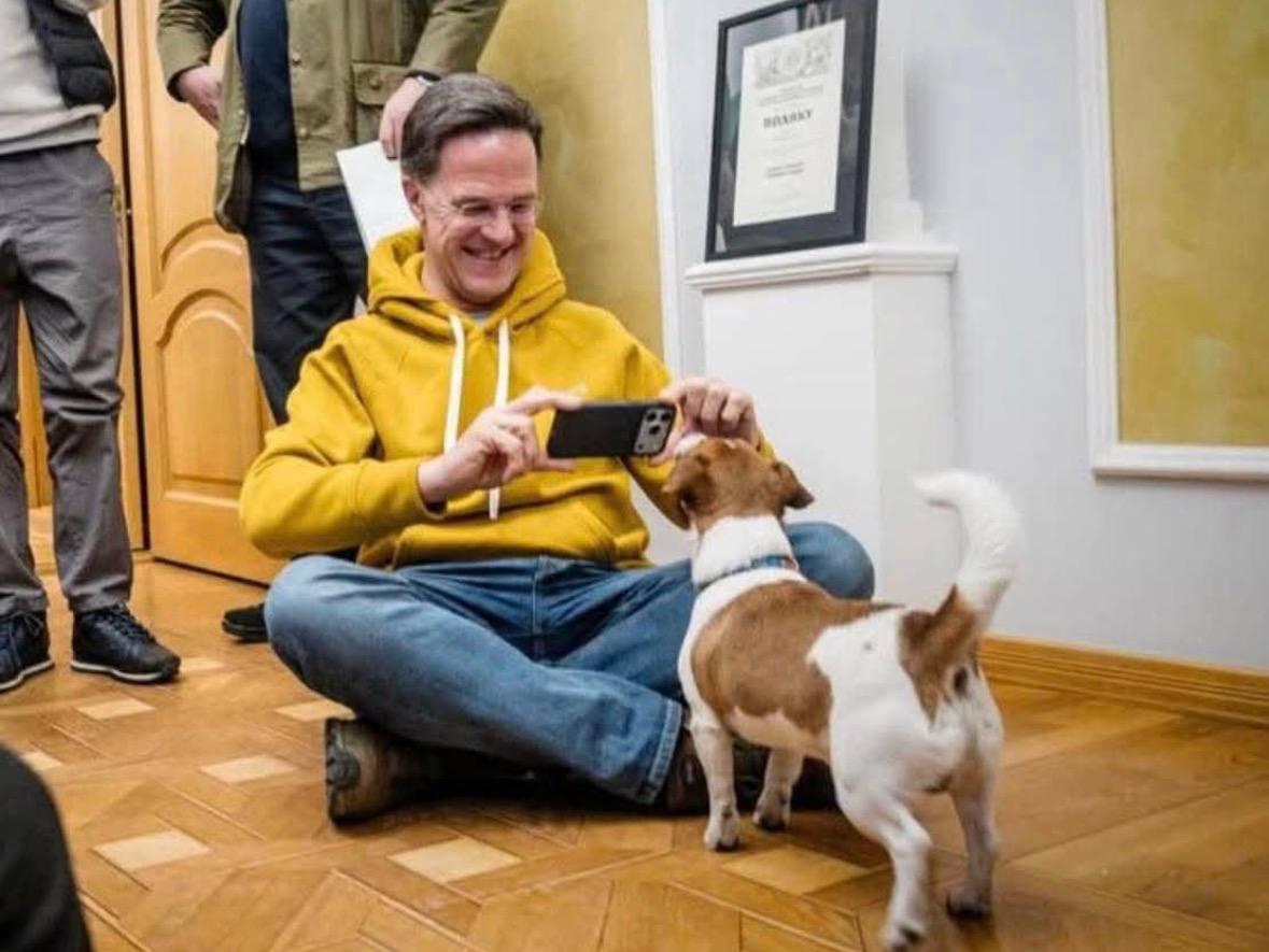 Я подивився псу Патрону в очі, в них було сказано, що ми ніколи не здамося, - Рютте Я подивився псу Патрону в очі, в них було сказано, що ми ніколи не здамося, - Рютте