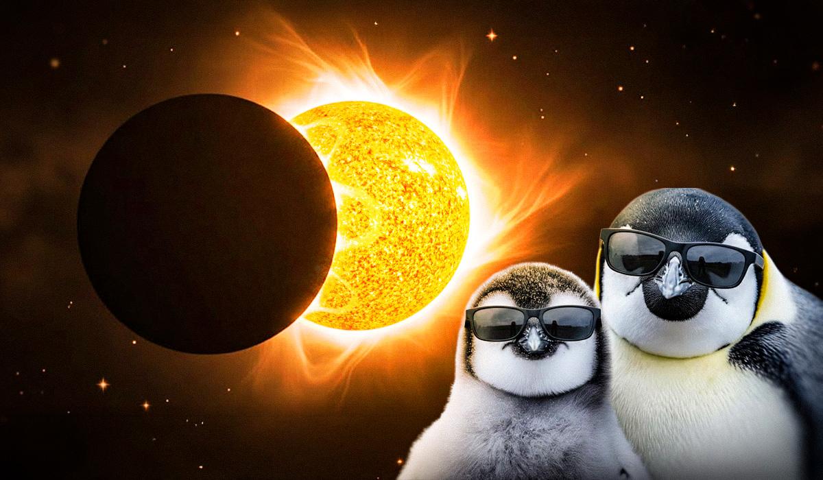 Молодий Місяць та сонячне затемнення у лютому 2026