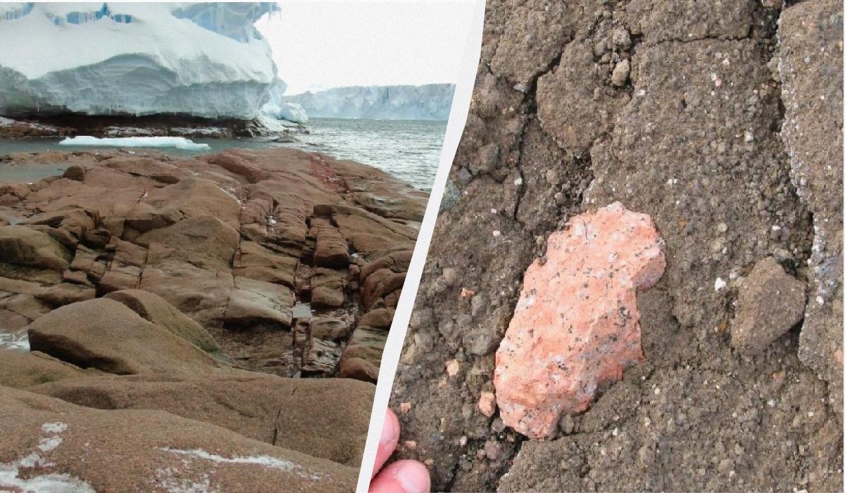 Вчені розкрили таємницю дивних рожевих каменів, знайдених в Антарктиді