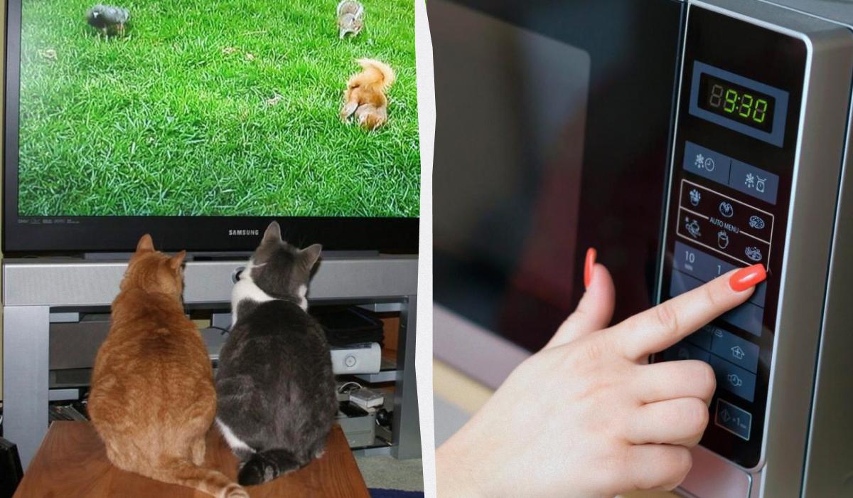 Ці прилади даремно витрачають електроенергію: їх варто вимикати з розетки Ці прилади даремно витрачають електроенергію: їх варто вимикати з розетки