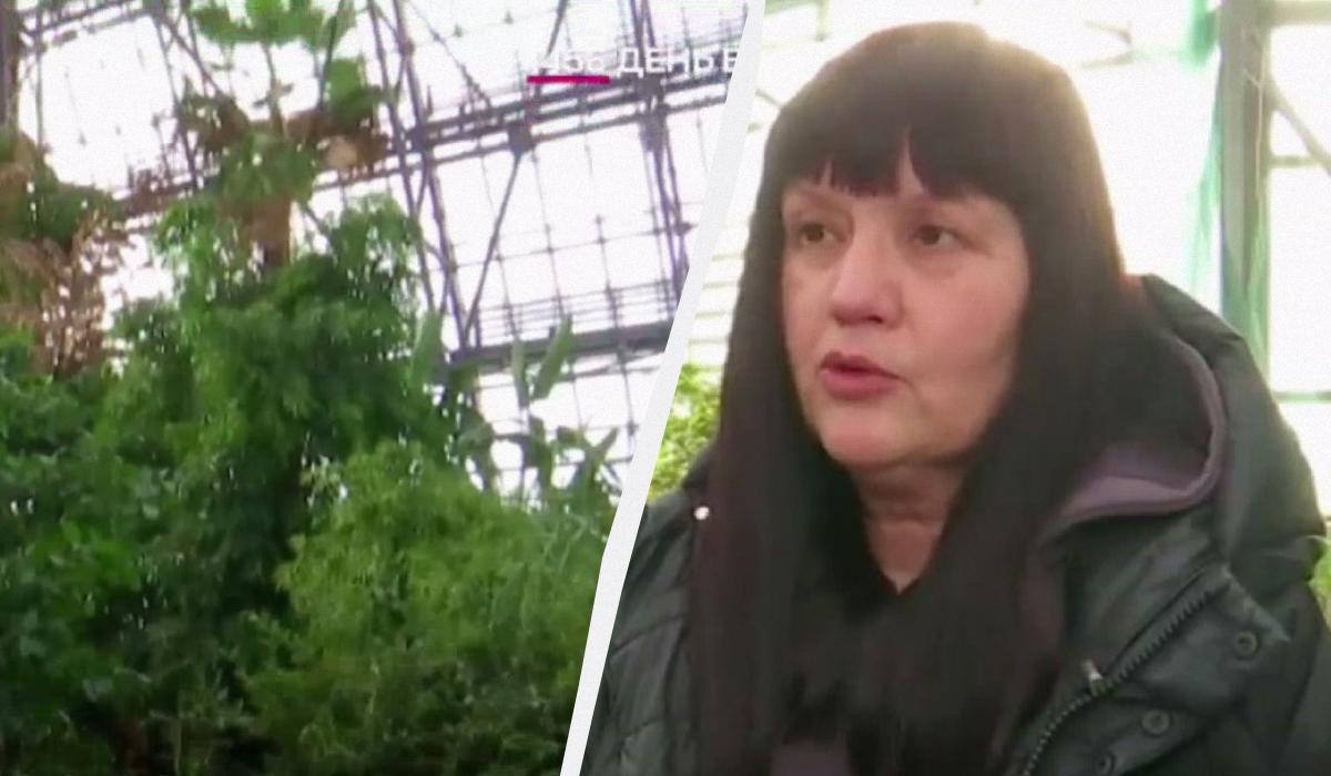 Температура в оранжереї до -2: у київському ботсаду замерзають рідкісні рослини