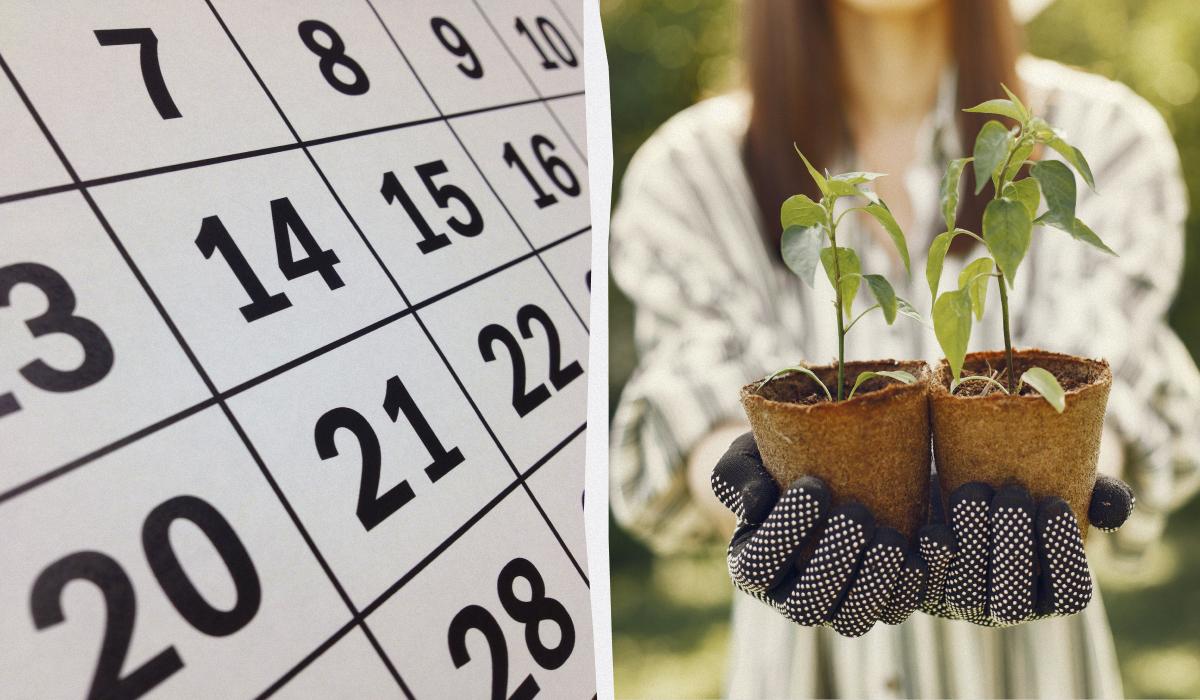 Посівний місячний календар