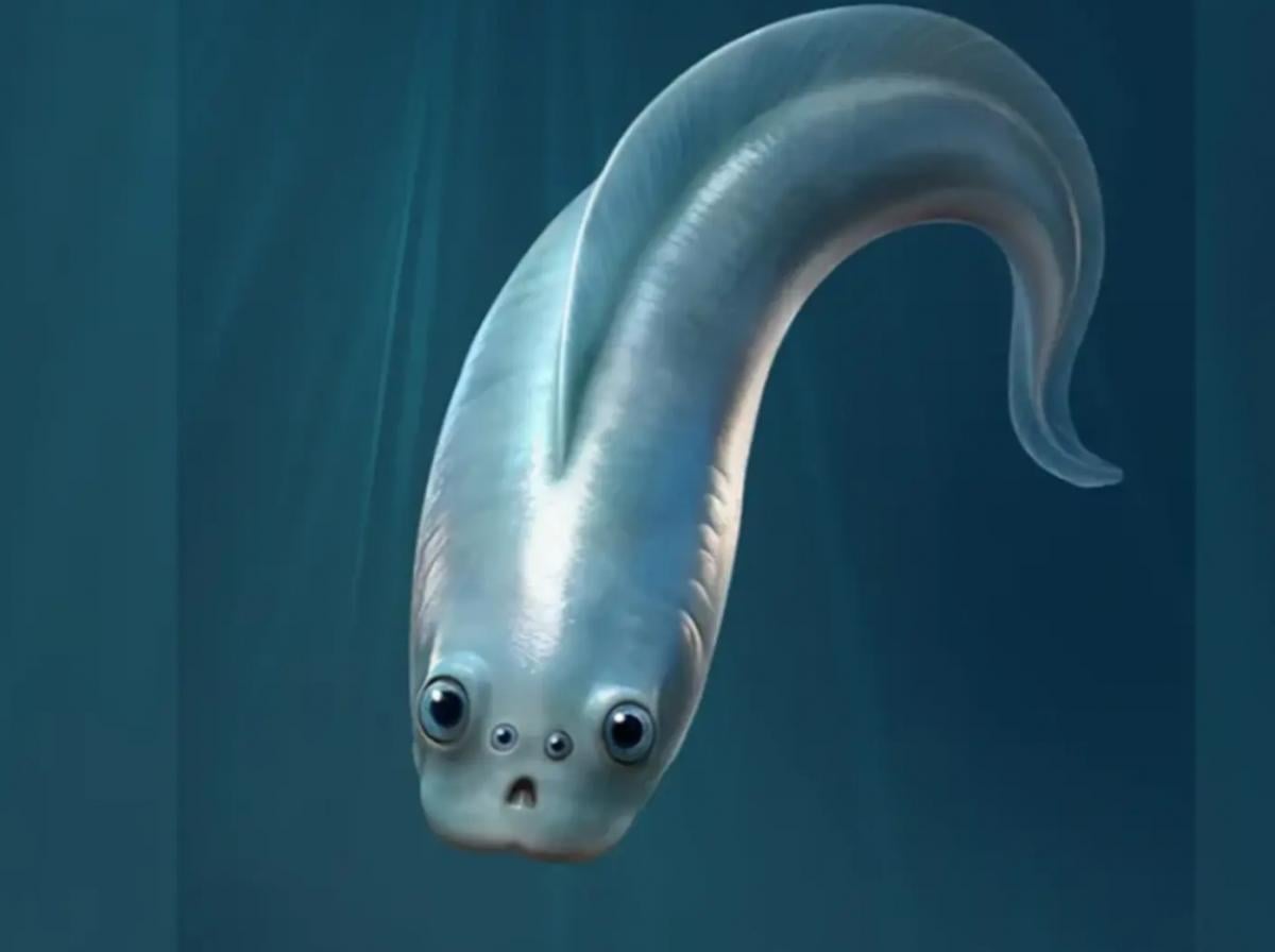 Ученые удивлены: древнейшие предки человека имели четыре глаза