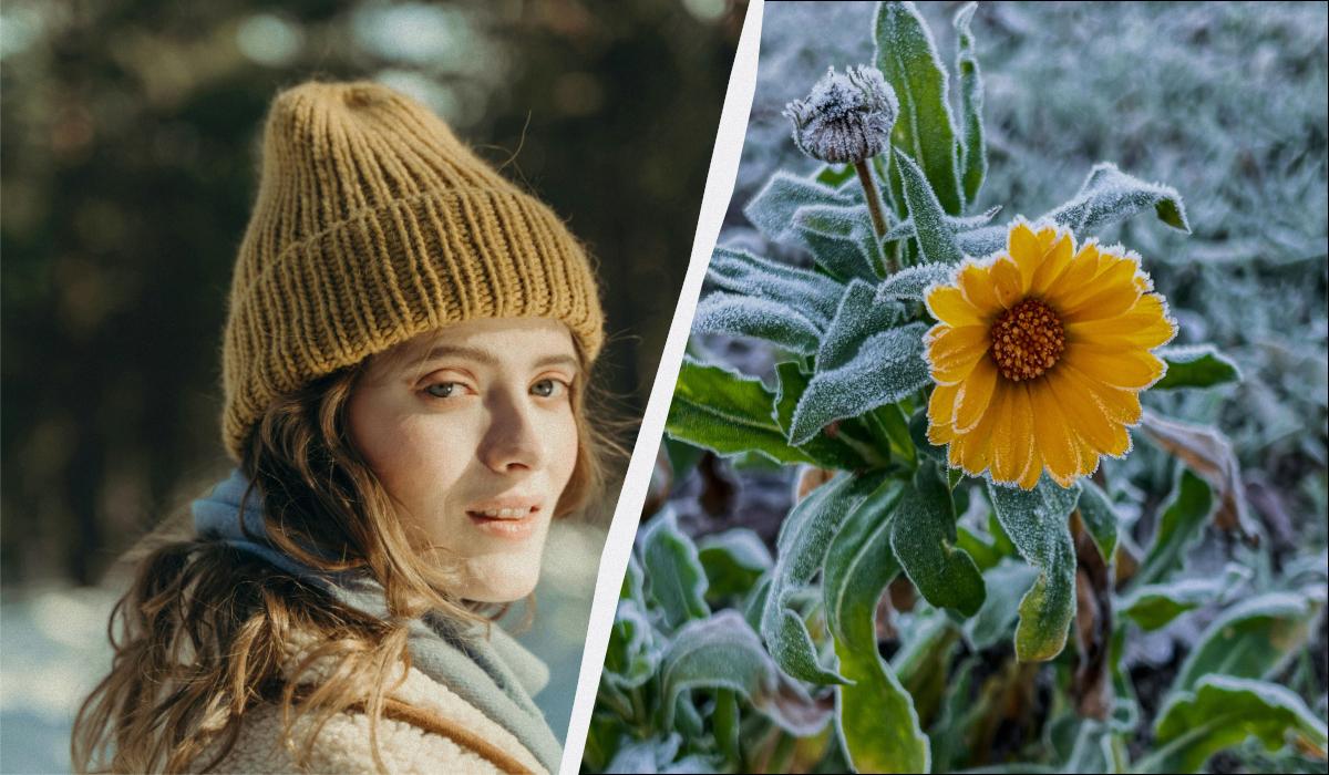 яке сьогодні свято яке сьогодні свято