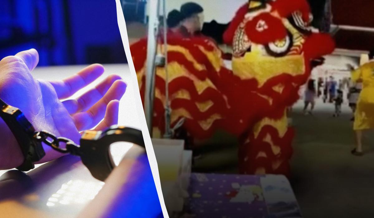 В Таиланде полиция под прикрытием в костюме льва поймала серийного грабителя (видео)