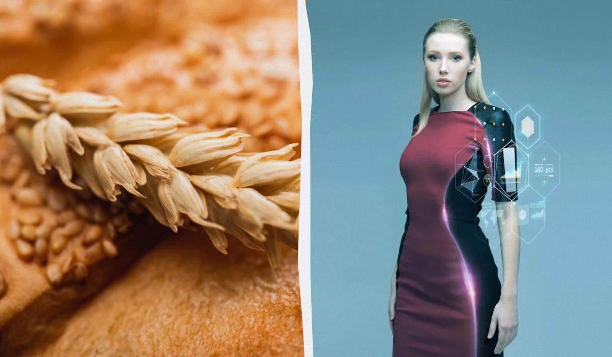 чи буде голод у світі