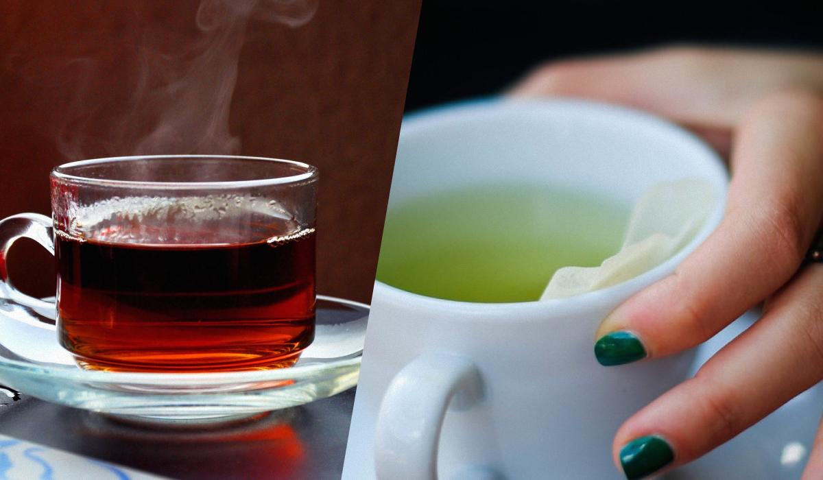 Чорний чай проти зеленого: дієтологи пояснили, який напій корисніший для здоровʼя