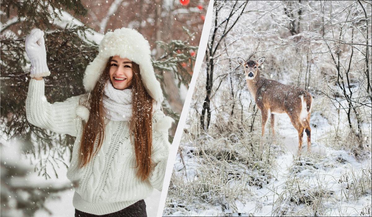 яке сьогодні свято