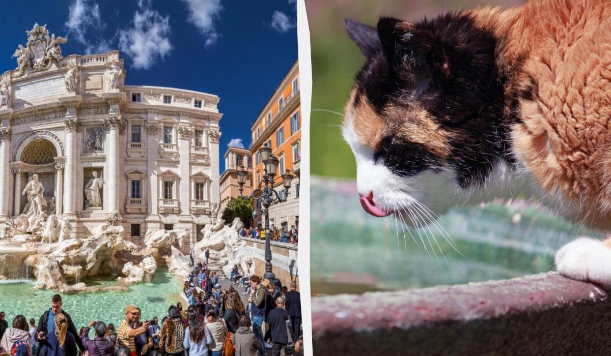 Не тільки натовпи і спека: 10 причин відмовитися від літньої відпустки в Європі