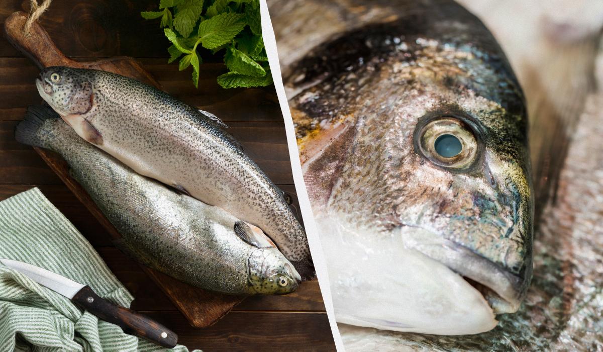 Експерти назвали 8 морепродуктів, які взагалі не можна їсти: про що йдеться