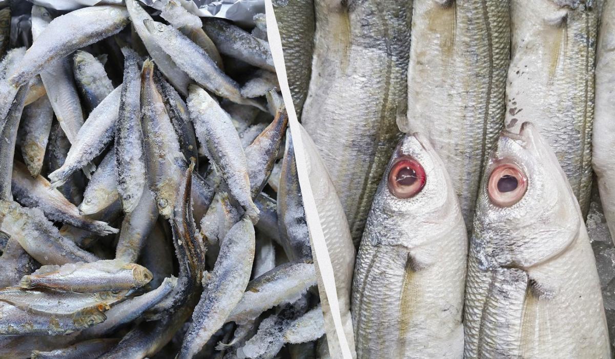 Какую замороженную рыбу лучше покупать Какую замороженную рыбу лучше покупать