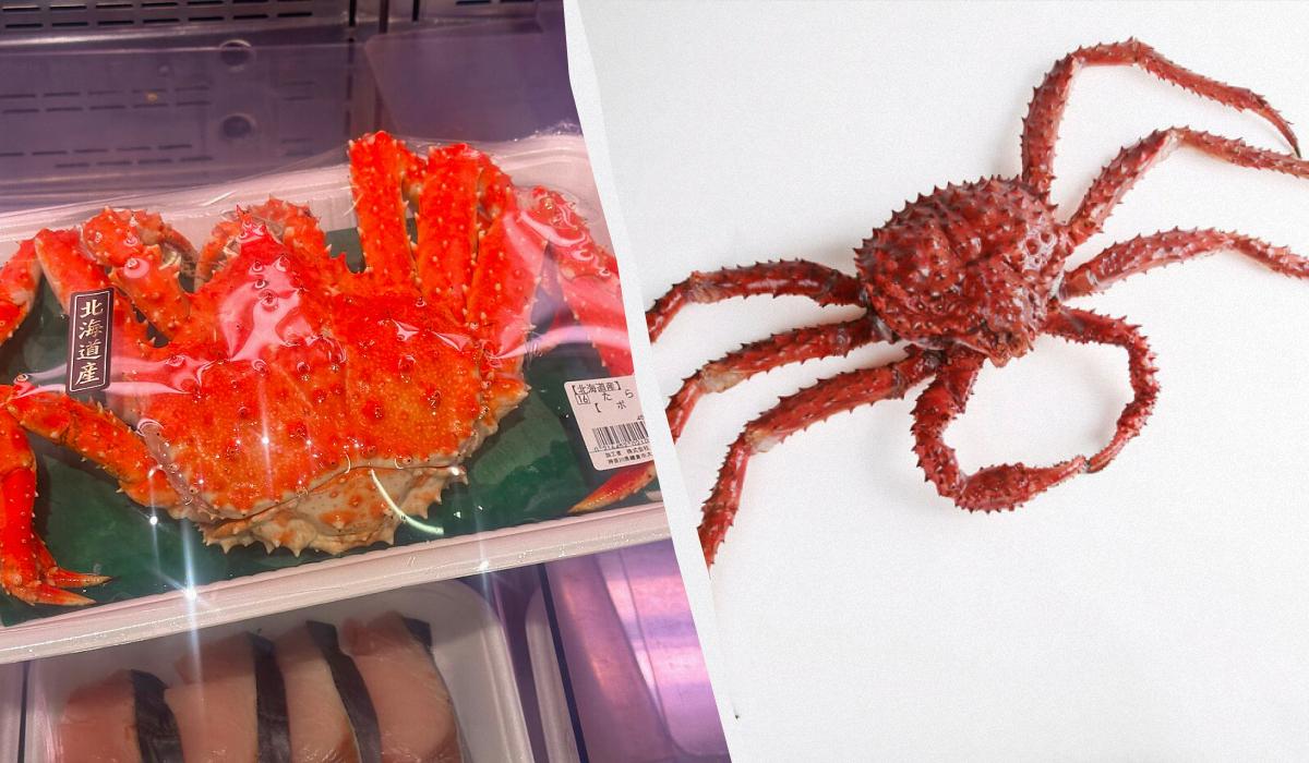 Эксперты назвали 8 морепродуктов, которые вообще нельзя есть: о чем идет речь