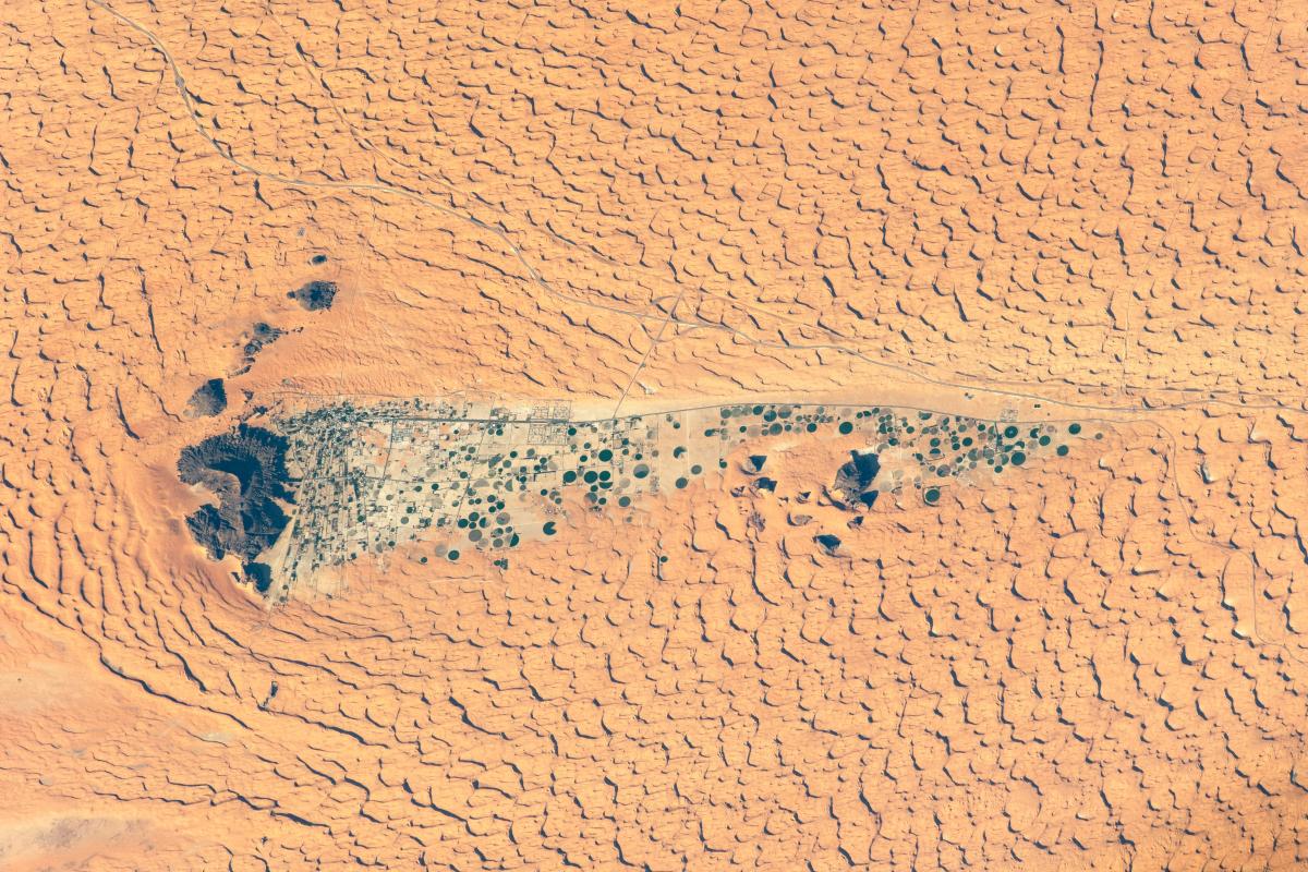 NASA обнаружило в пустыне загадочные круги в самом сердце Саудовской Аравии (фото) NASA обнаружило в пустыне загадочные круги в самом сердце Саудовской Аравии (фото)