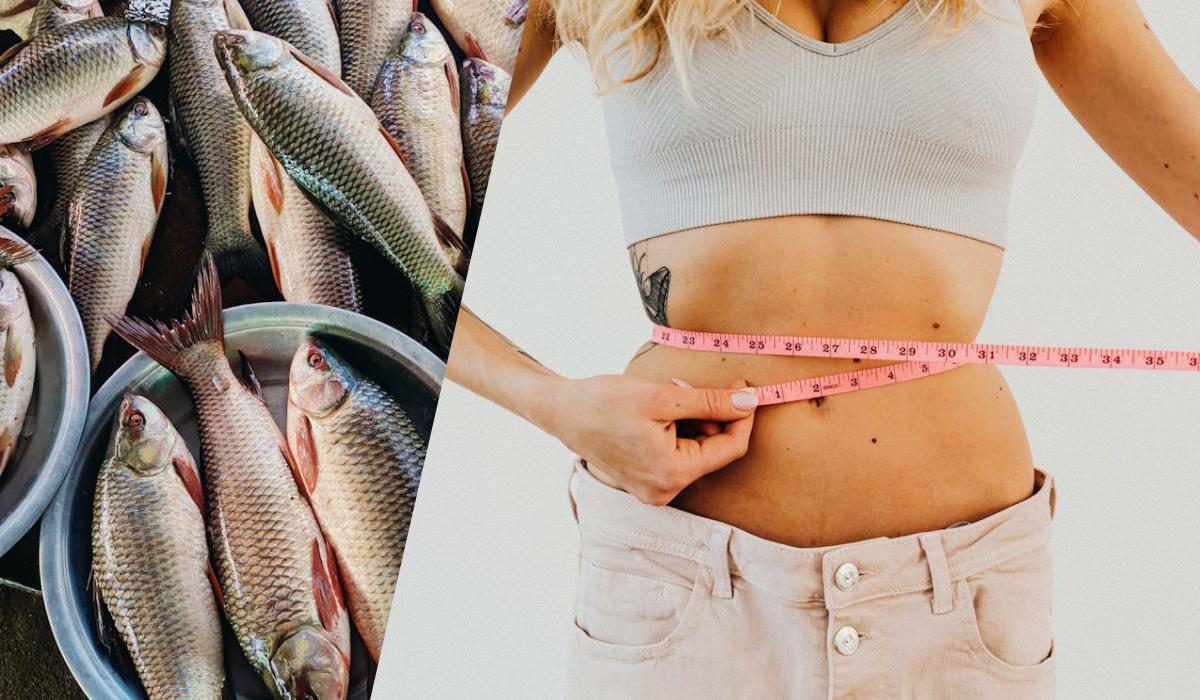 Яку рибу можна їсти під час дієти