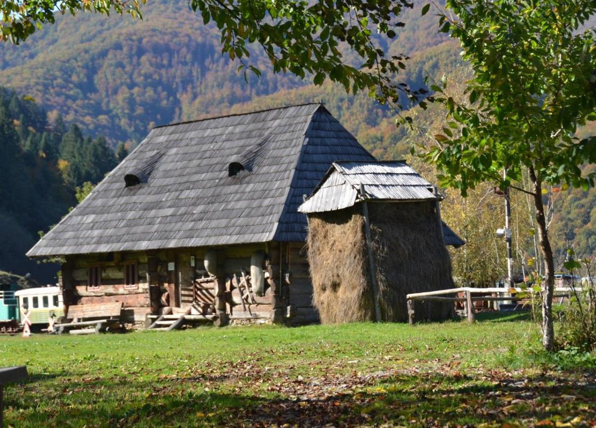 Колочава – это не только крокусы: в чем уникальность одного из лучших туристических сел мира