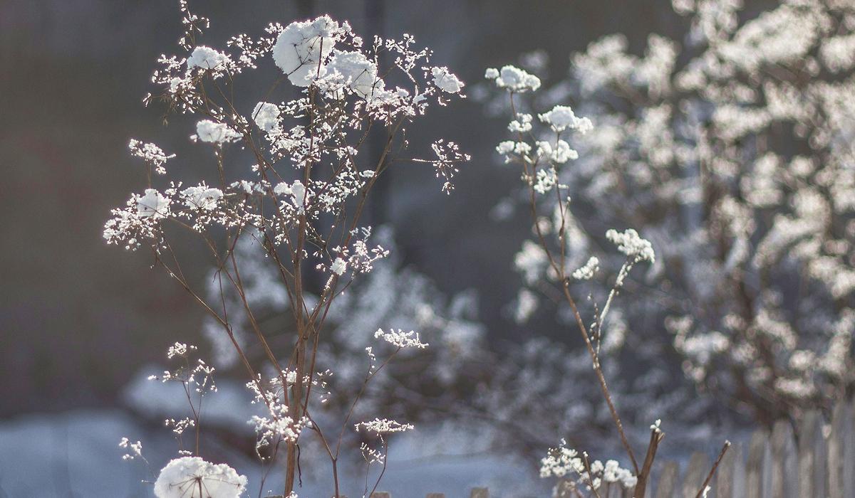 Прикмети на сьогодні