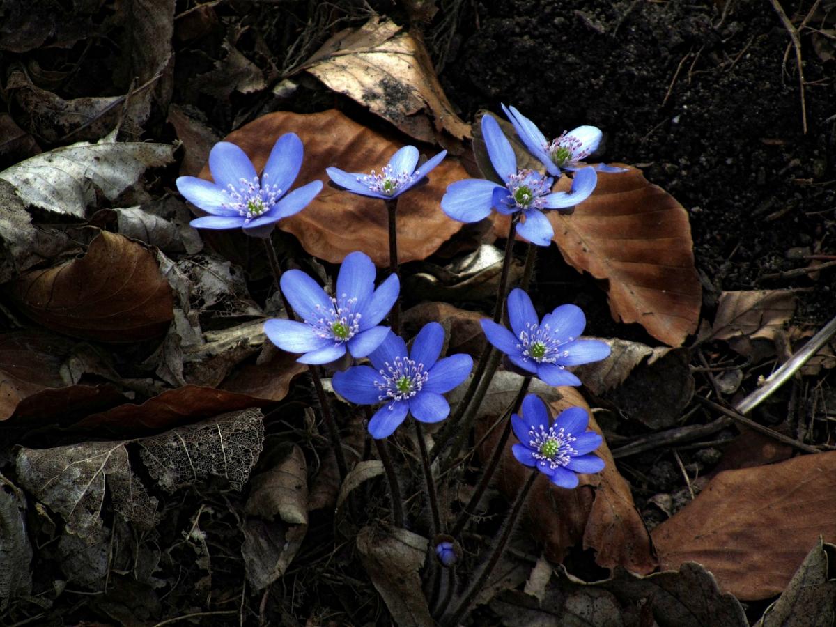 какой сегодня праздник какой сегодня праздник