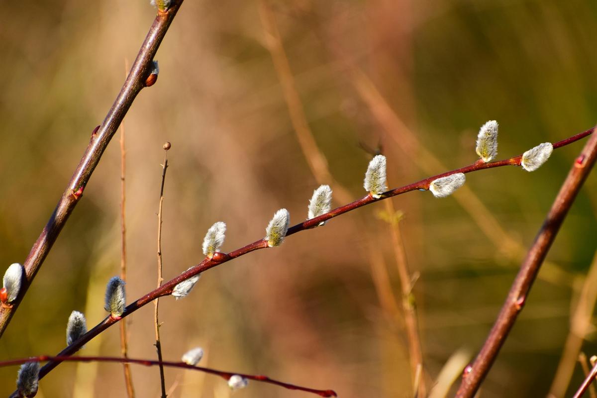 На вихідних погода в Україні почне змінюватися