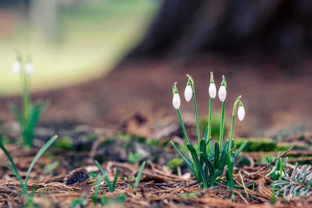 яке сьогодні свято