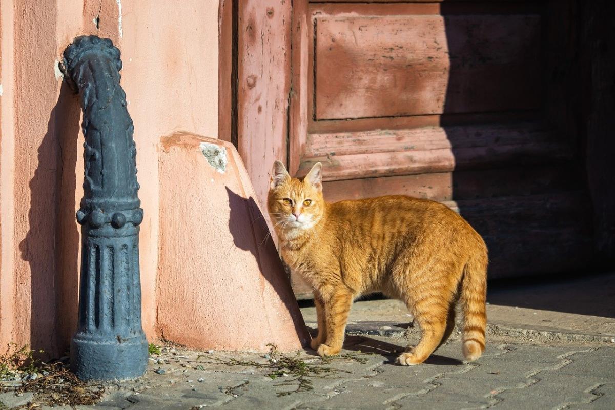 Завтра температура в Украине прыгнет до +15°, - синоптик Диденко Завтра температура в Украине прыгнет до +15°, - синоптик Диденко