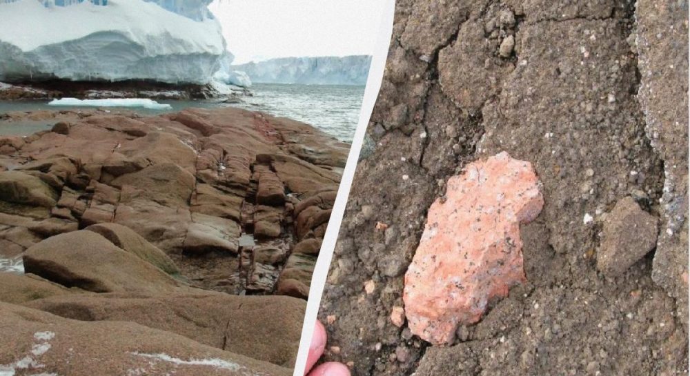 Вчені знайшли в Антарктиді рожеві камені, яких там не могло бути
