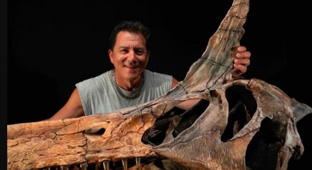 A Szahara „pokoli gémje”: A Spinosaurus mirabilis felfedezése és a spinosauridák evolúciója