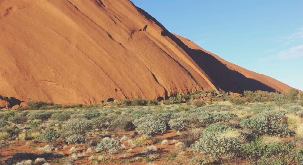 Cianobaktériumokkal gyorsítanák fel …