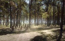 "Игра на перехват": что нужно знать о новом украинском документальном фильме о футболе и войне