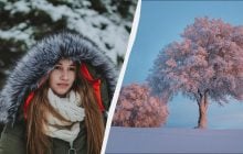 Традиции в праздник 4 февраля: что сделать в доме и какая есть примета ранней весны