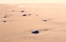 Как образуются песчаные пляжи: откуда на них песок