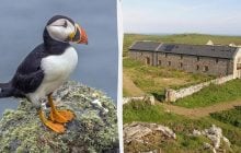 В Британії усім охочим пропонують "роботу мрії", але є нюанс