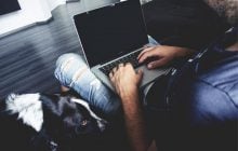 Какую породу собаки выбрать, если вы работаете из дома: ветеринары перечислили 8 вариантов