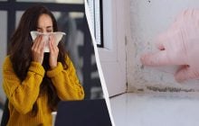 Копеечная добавка для теста оказалась смертельной для плесени: как убрать грибок за час