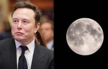 Марс подождет: вместо освоения "красной планеты" Илон Маск задумал нечто иное