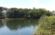 Смертельная ловушка: в Европе есть безлюдный остров с необычным статусом