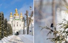 11 февраля: церковный праздник сегодня, примета дня, чтобы весь год жить в достатке